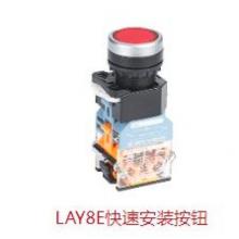 德力西 按钮开关LAY8E-11BN  1NO+1NC