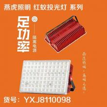 燕虎照明 红蚁投光灯 系列