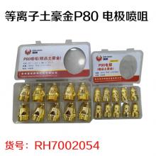 等离子土豪金P80 电极喷咀