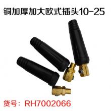 铜加厚加大欧式插头10-25